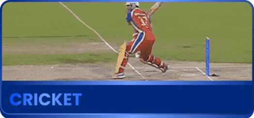 Cricket